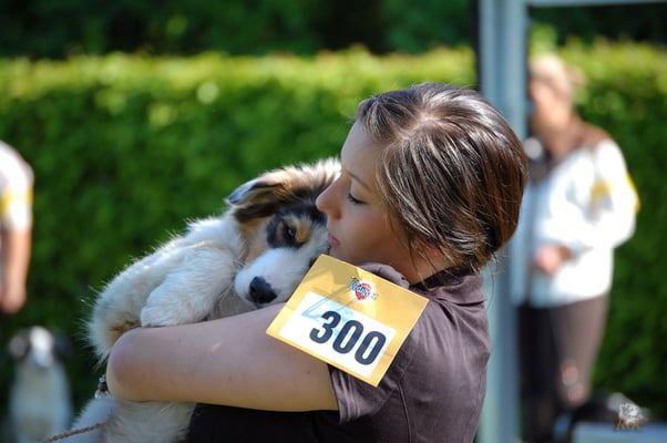 Kuscheln auf der Hundeshow