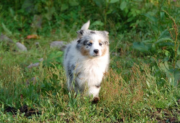 So süß wie Marzipan
