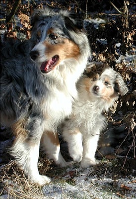 Shannon mit Mama Tiny