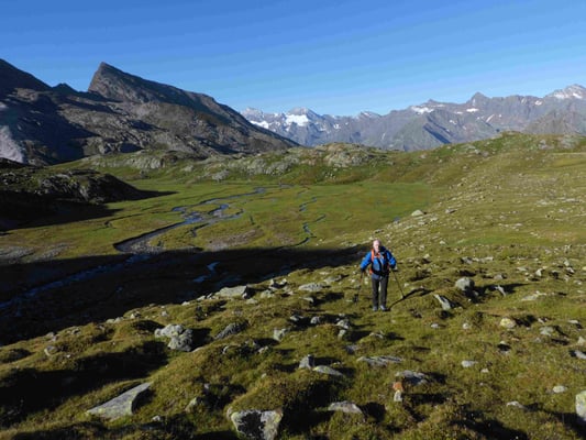 Botzer Stubaier Alpen Bergführer