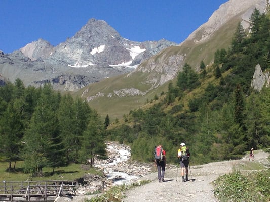 Großglockner Stüdlgrat Bergführer