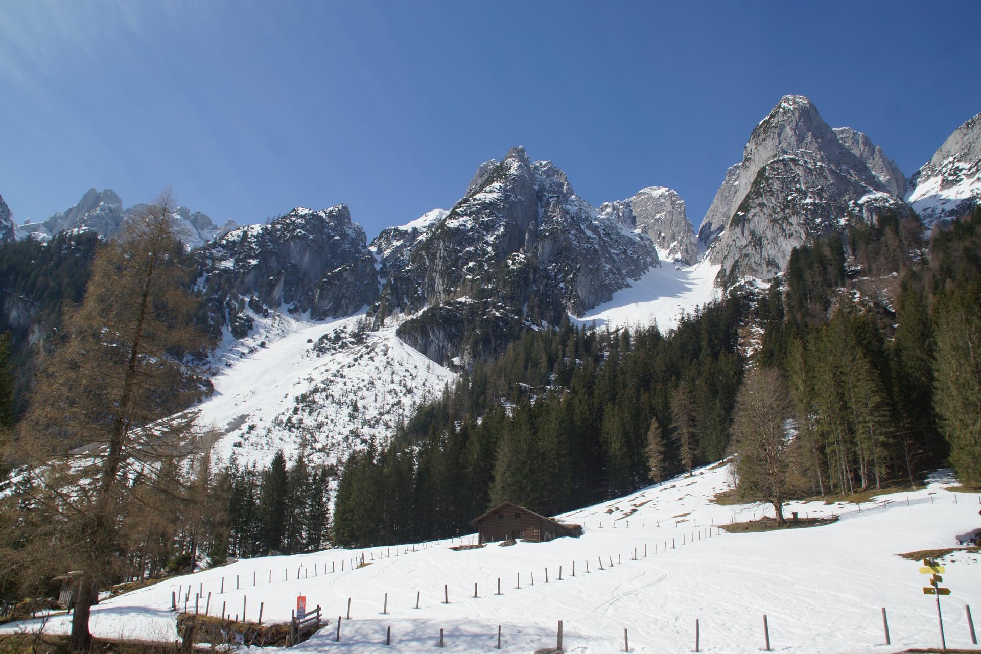 Bergführer Skitour Gosaukamm