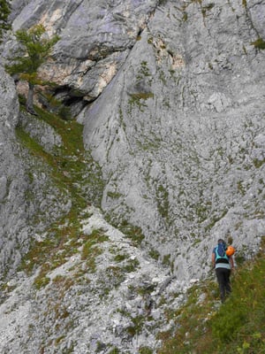 Trisselwand Hoferweg  Bergführer
