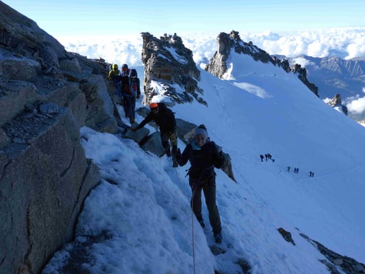 Gran Paradiso Bergführer