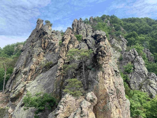 Klettern in der Wachau Bergführer