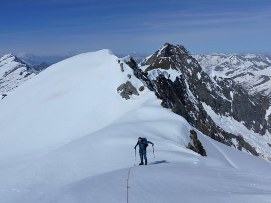 Westliche Simonyspitze Großer Geiger Osttirol Bergführer