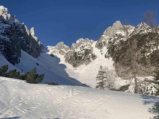 Bergführer Skitour Gosaukamm
