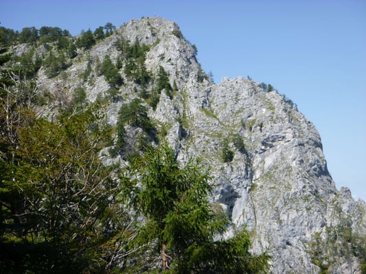 Klettersteig Drachenwand Klettersteigkurs Bergführer
