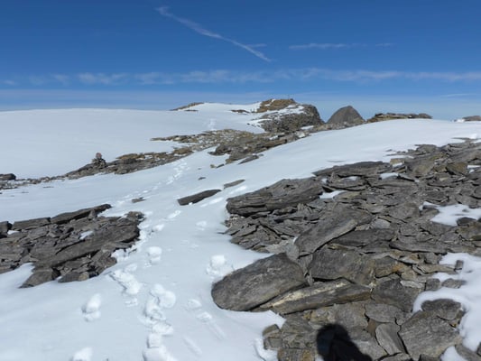 Sonklarspitze Stubaier Alpen  Bergführer