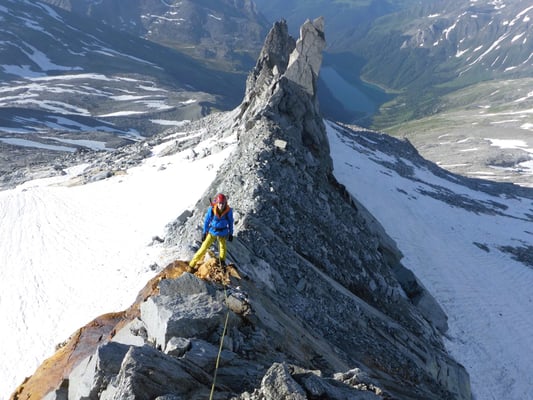 Bergführer Zillertal Großer Möseler Turnerkamp Hoher Weißzynt
