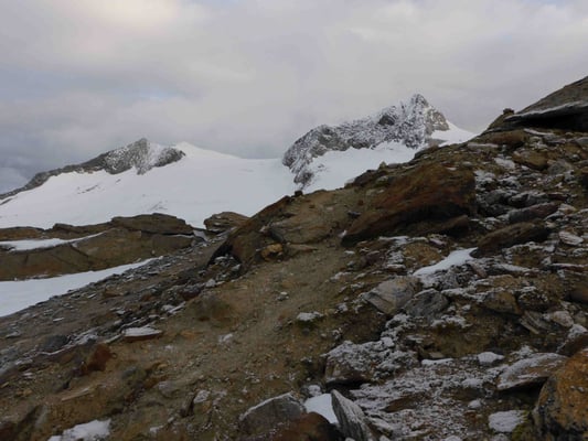 Großvenediger Großer Geiger Bergführer