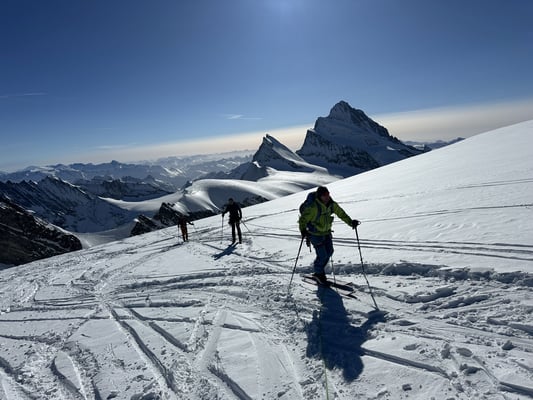 Bergführer Skidurchquerung Berner Oberland Mönch Finsteraarhorn Großes Grünhorn Mönch