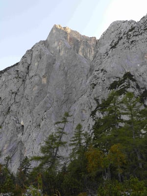Trisselwand Hoferweg  Bergführer