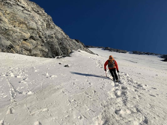 Königsspitze Gran Zebru Bergführer