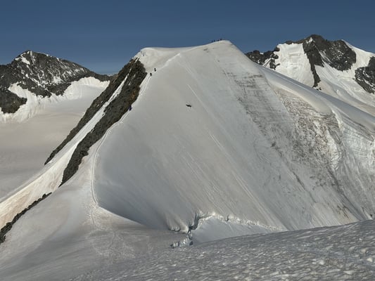 Bergführer Piz Palü Piz Bernina