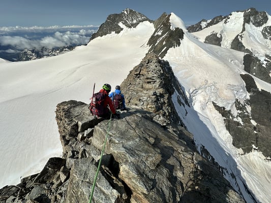 Bergführer Piz Palü Piz Bernina