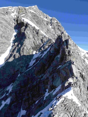 Ortler Hintergrat Bergführer