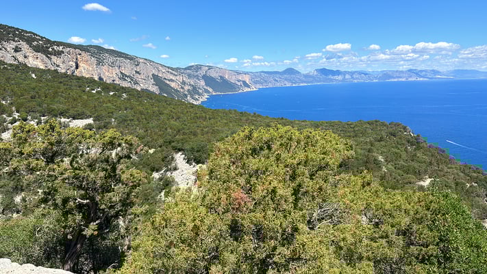 Bergführer Selvaggio Blu Sardinien