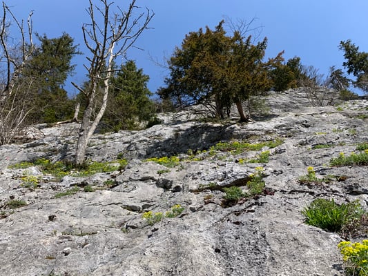 Klettern Bergführer Salzkammergut 