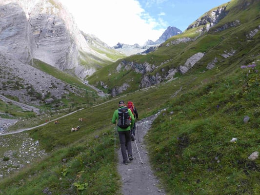 Großglockner Bergführer