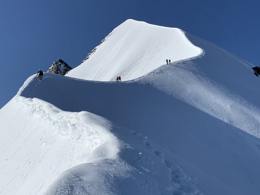 Biancograt Bergführer