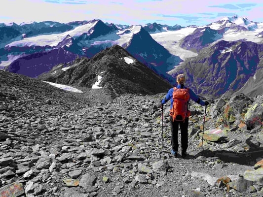 Geigenkamm Überschreitung Mainzer Höhenweg Bergführer