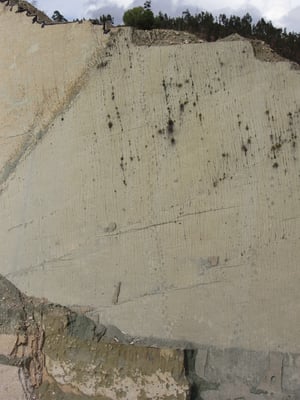 Die imposantesten Gestalten dürften die Titanosaurier gewesen sein, zehn bis zwölf Meter lange Kolosse. Mit ihrem Appetit setzten sie vermutlich der Vegetation ziemlich zu. Von Ihnen stammen etwa drei Viertel der Fussabdrücke.