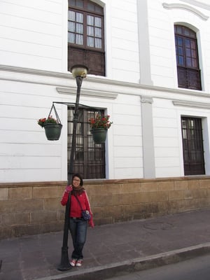 Hängende Blumeneimer verzieren die Straßenlaternen.