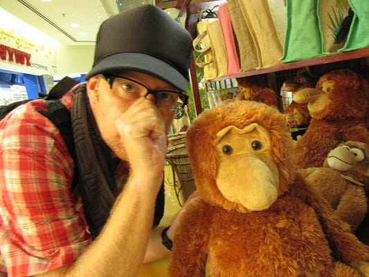 Ein Affe und ein Stofftier.