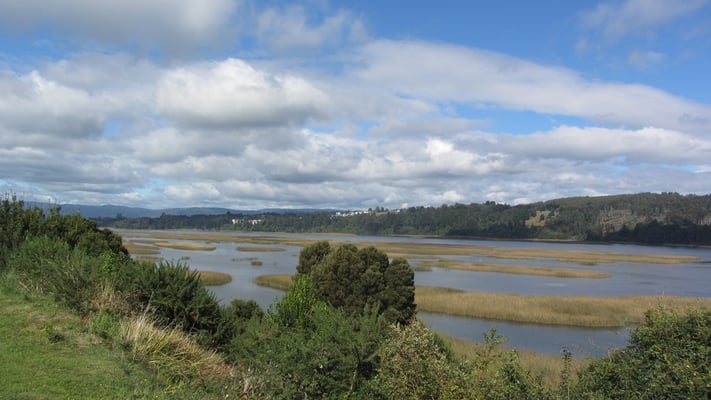 Das Umland von Valdivia.