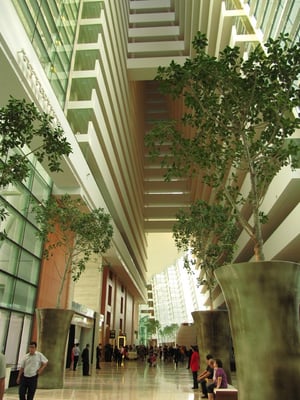 Im Marina Bay Sands.