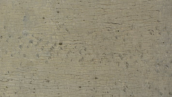 Dinosaurierspuren von Cal Orcko bei Sucre.