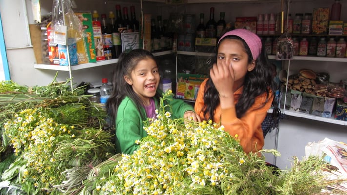 Kamilleverkaufende Kinder.