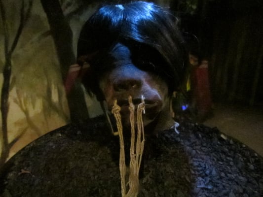 Schrumpfkopf. (Pumapungomuseum)