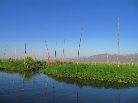 Weitere schwimmende Gärten.
