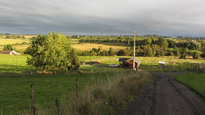 Unsere Nachbarschaft.