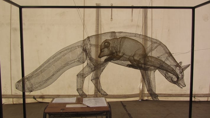 Tagesausflug nach  Llanquihue. Temporäre Austellung in einer provisorischen Stadthalle.