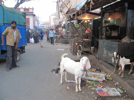 Bangalore ist eben immer noch Indien.