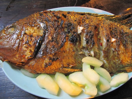 Gegrillter Fisch mit Gurkenbeilage.