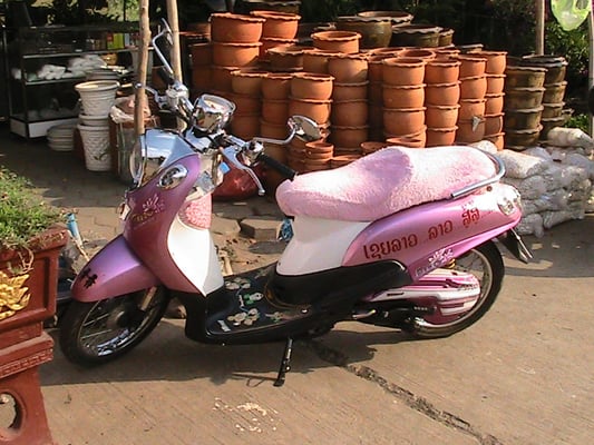 Pelzroller. Ein Traum auf 2 Rädern.