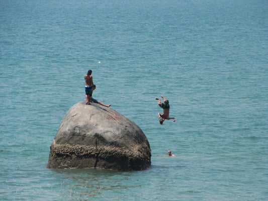 Wagemutige Badegesellen.