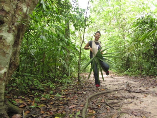 So sehen viele der Dschungelpfade aus. Keine Chance ohne Karte die Orientierung zu bahalten.