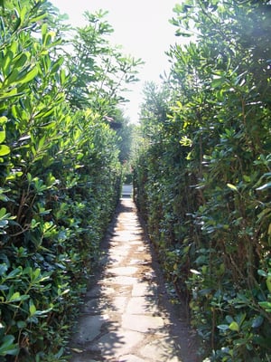 Weg zum Fjord mit Steg - Albarella Ferienhaus