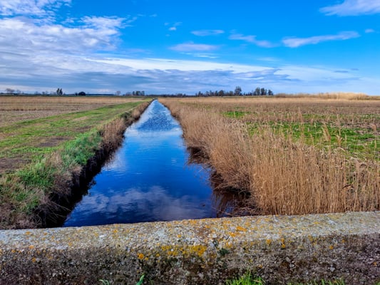 I colori della bonifica