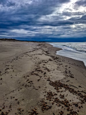 La selvaggia spiaggia del Gombo 