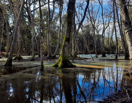 Luci e riflessi delle lame allagate