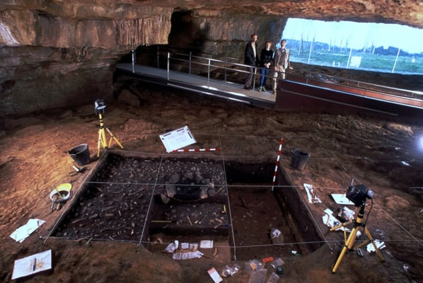 Neo Cueva de Altamira, Museo Nacional de Altamira