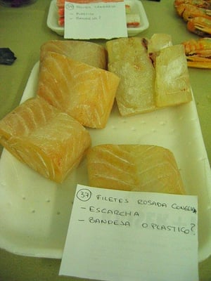 Filetes Congelados de Pescado, Ficticio de Dorada