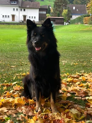 Angaben siehe Anouk auf unsere HP