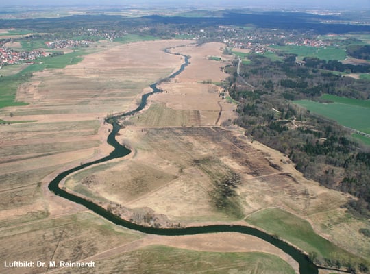 Ampermoos (Blick nach Norden) (Foto: Dr. M. Reinhardt) 